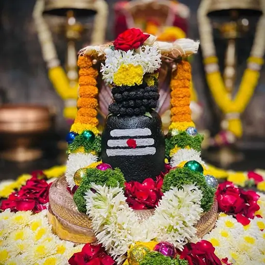 Navgrah Shanti