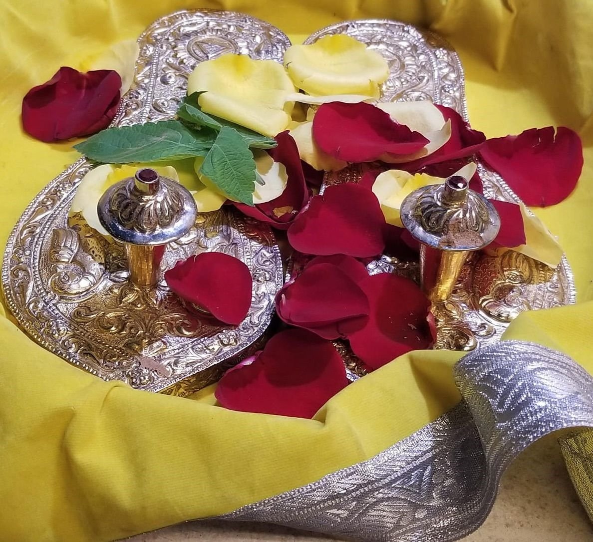 Navgrah Havan